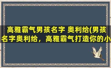 高雅霸气男孩名字 奥利给(男孩名字奥利给，高雅霸气打造你的小型绅士)